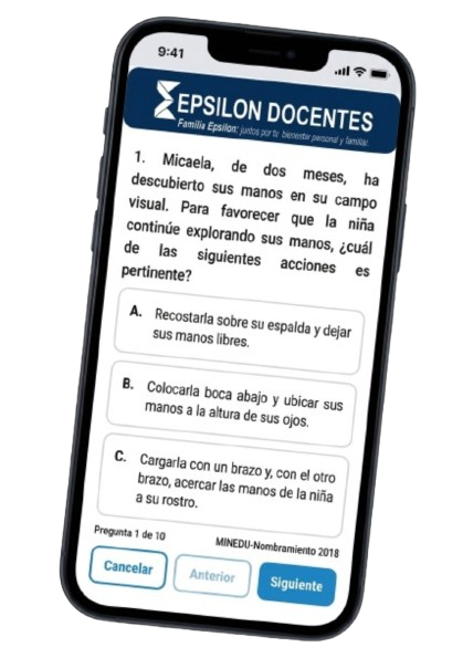 Vista del simulador en celular